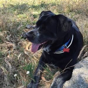 Meet your Posher, Diana